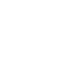 Icon Sinclair College White